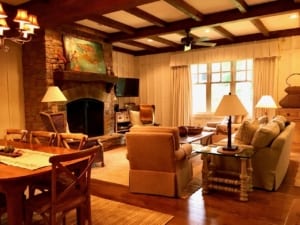 Johnson living room and fireplace