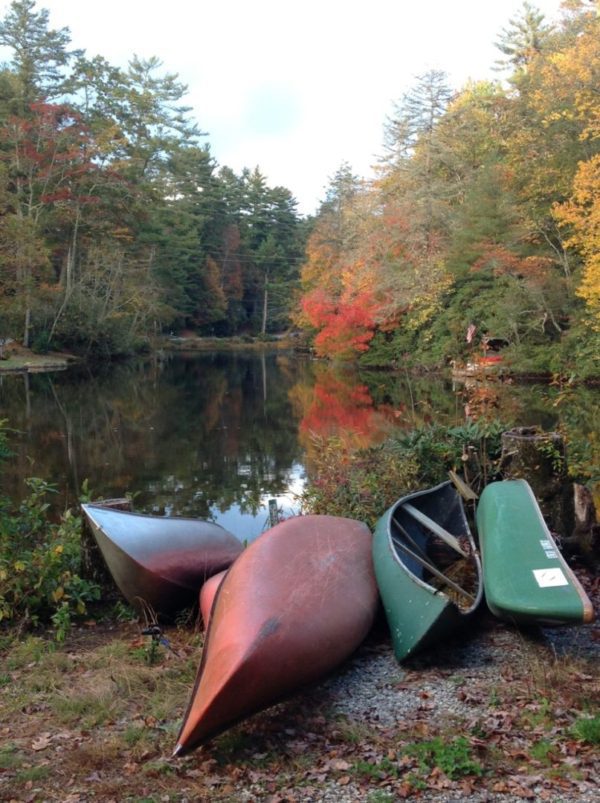 canoes on the river shore