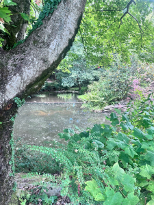 2025-1292-Leonard-pond