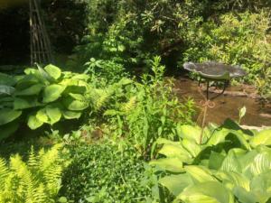 IS creekside garden 2019